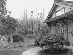 方寸苗圃，匠心筑夢 在有限空間里打造精品園林的藝術