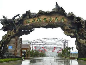 生態(tài)園的靈魂構(gòu)筑 解析假樹大門的設(shè)計與營造